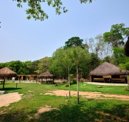 Gallery - 2