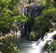 Gallery - 2
