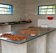 Gallery - 7