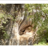 Gallery - 1