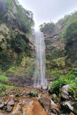 Bom Jardim de Goiás