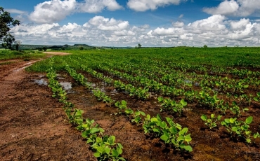 Água nossa de cada dia - Parte II