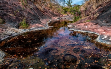  Águas de um Cerrado particular - André Monteiro