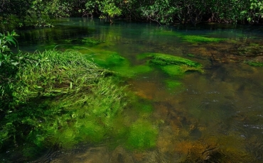 As águas da Bacia do Paranaíba