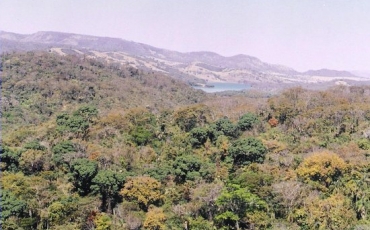 Conheça nossos Parques - Parque Estadual da Mata Atlântica