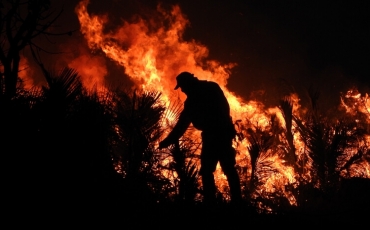 Exposição Parque Nacional das Emas - 60 anos - O fogo
