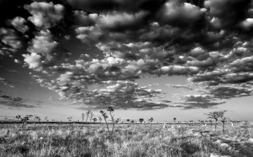 Exposição Parque Nacional das Emas em Preto e Branco  - 60 anos