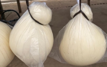 Indicação Geográfica do Queijo Cabacinha