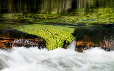 Outorga do uso da Água