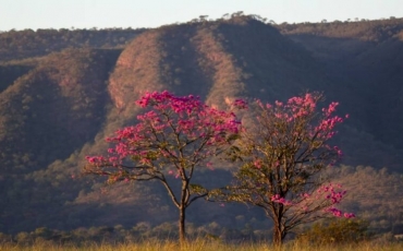Parque Estadual Serra de Caldas
