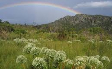 Parque Estadual Serra dos Pirineus