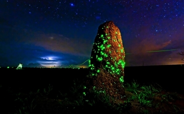 Parque Nacional das Emas 60 Anos - II