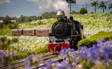Região da Estrada de Ferro