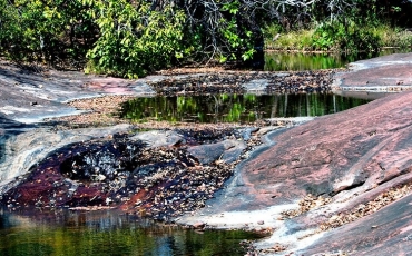Saiba mais sobre o Cerrado - Parte VI