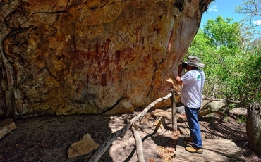 Saiba mais sobre o Cerrado - Parte VII