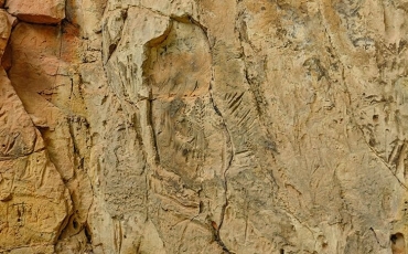 Saiba mais sobre o Cerrado - Parte VIII