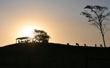 Turismo Rural em Goiás