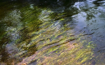 Video - Araguaia, das nascentes ao grande rio