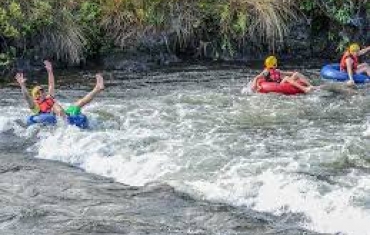 Boiacros no Parque das Emas