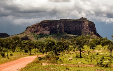 Trilha da Subida do Morro Dois Irmãos - Pinga Fogo