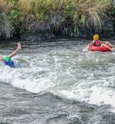 Boiacros no Parque das Emas