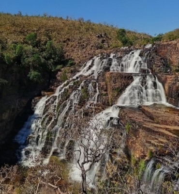 Guia Laiz Alves  Programação 