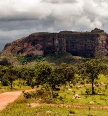 Trilha da Subida do Morro Dois Irmãos - Pinga Fogo
