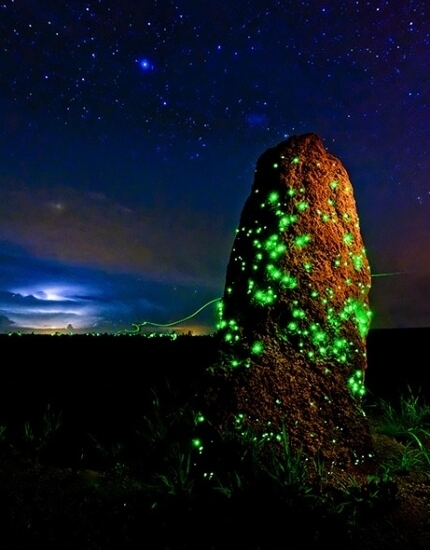 Região da Chapada das Emas
