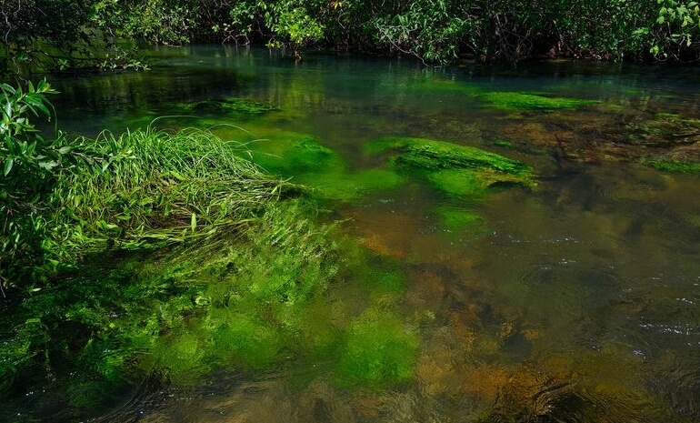 As águas da Bacia do Paranaíba