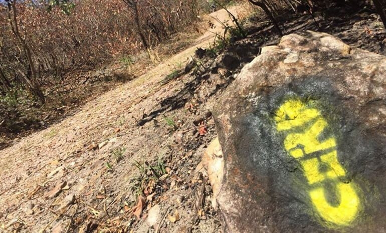 Caminho de Cora em destaque