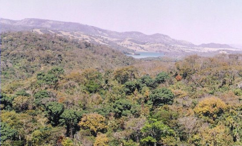 Conheça nossos Parques - Parque Estadual da Mata Atlântica