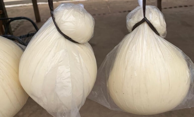 Indicação Geográfica do Queijo Cabacinha