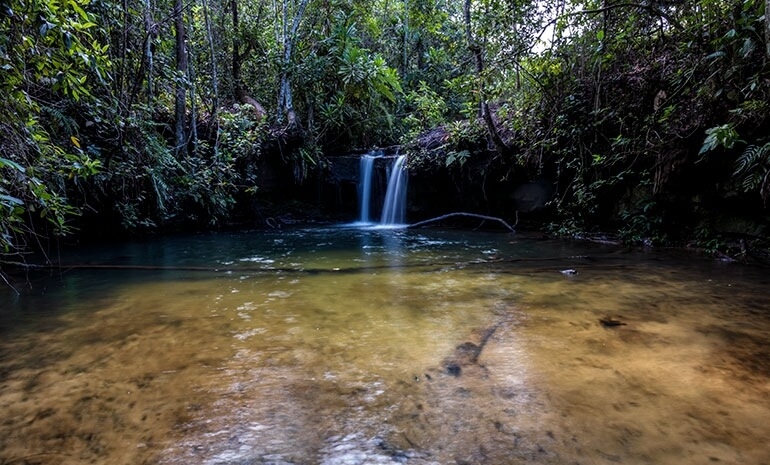 Os rios do Cerrado e as consequências do desaparecimento - Parte I