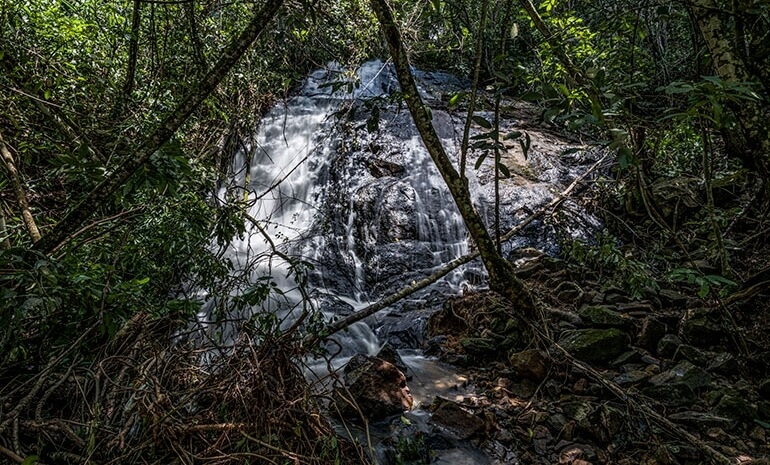 Os rios do Cerrado e as consequências do desaparecimento - Parte II