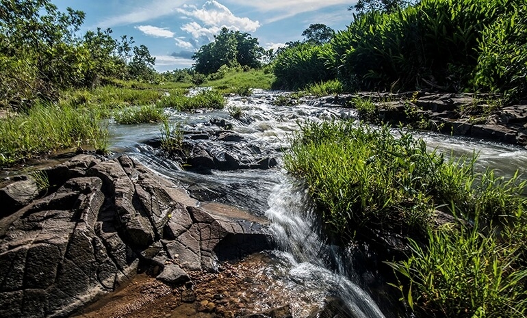 Os rios do Cerrado e as consequências do desaparecimento - Parte III
