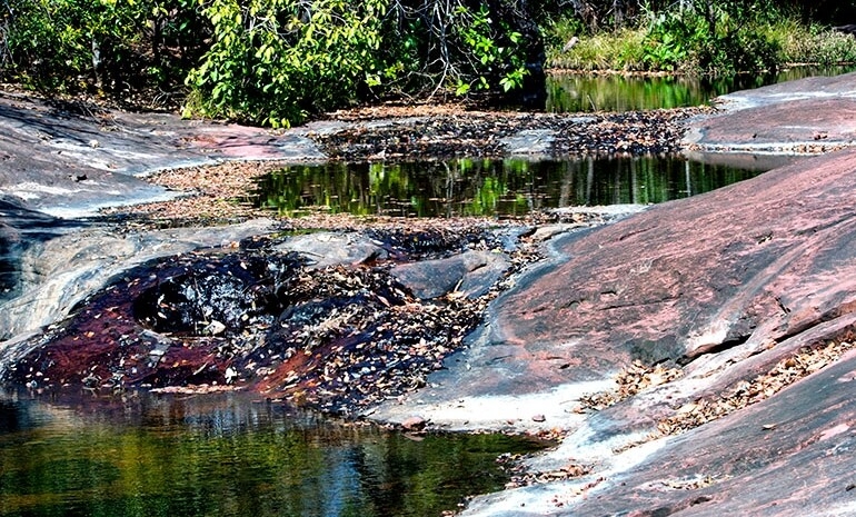 Os rios do Cerrado e as consequências do desaparecimento - Parte IV