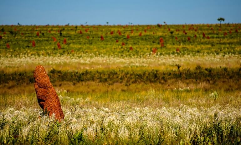 Parque das Emas e a preservação do Cerrado.