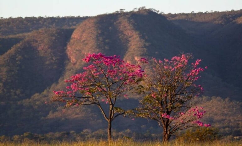 Parque Estadual Serra de Caldas