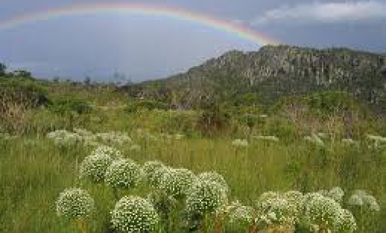 Parque Estadual Serra dos Pirineus