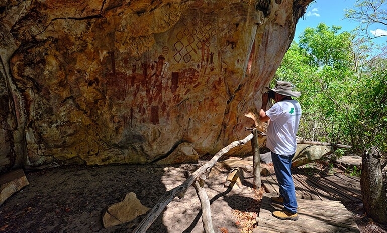 Saiba mais sobre o Cerrado - Parte VII